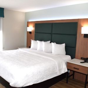 Deluxe One-Bedroom King Suite