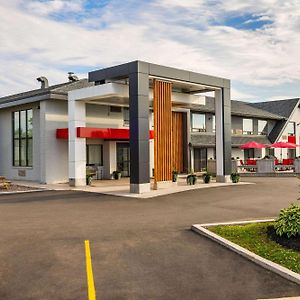 Comfort Inn