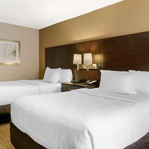 Double Room Mobility accessible