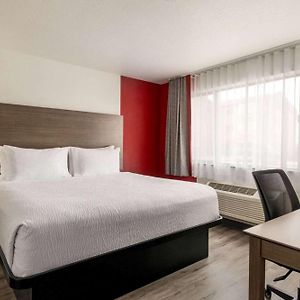 Separate Building King Suite