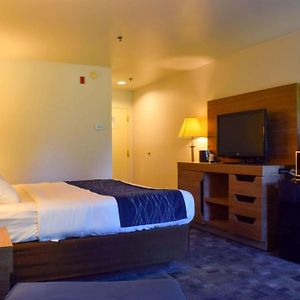 King Room Mobility accessible