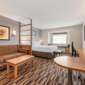 Queen Suite