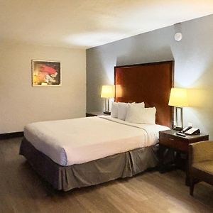 King Room Disability Access