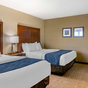 Queen Suite