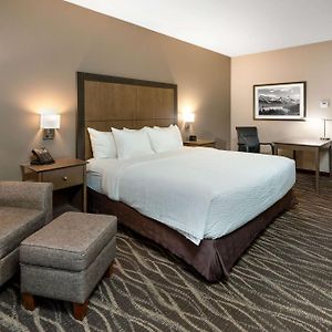 Single Room Disability Access