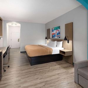 King Room Mobility accessible