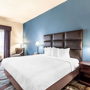 King Room Disability Access