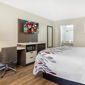 King Room Disability Access
