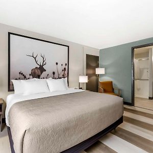 King Room Mobility accessible