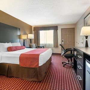 King Room Disability Access