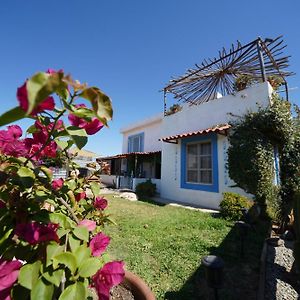 Santerra, Valle De Guadalupe