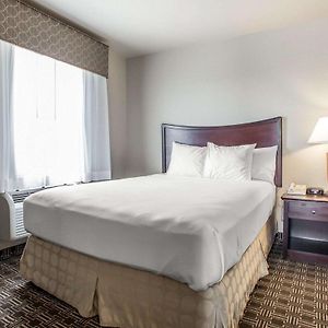 Queen Suite
