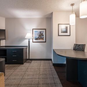 One-Bedroom King Suite
