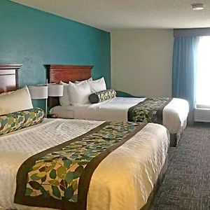 Queen Suite Disability Access