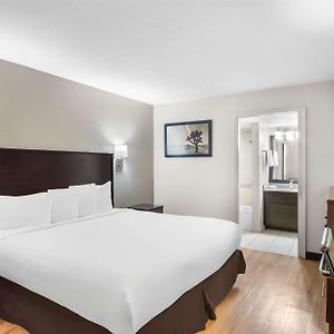 King Room Disability Access