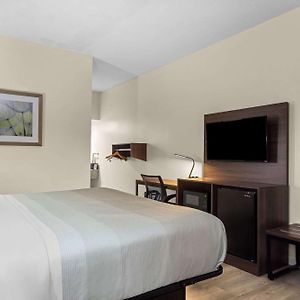 King Room Disability Access