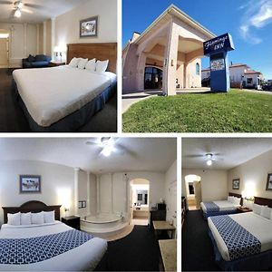 The Flamingo - South Padre Island