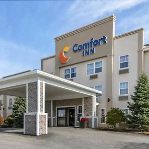 Comfort Inn Civic Center