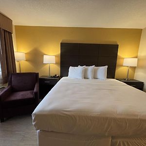 King Room Disability Access