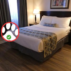 Standard Queen Room