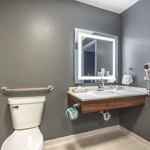 Efficiency Queen Room Mobility accessible