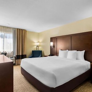 King Room Mobility accessible