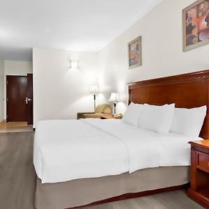 King Room Disability Access