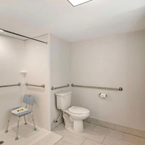 Queen Room Disability Access