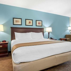 King Room Disability Access