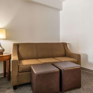 Queen Suite