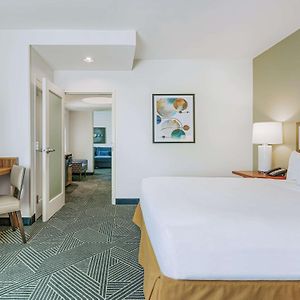 One-Bedroom King Suite