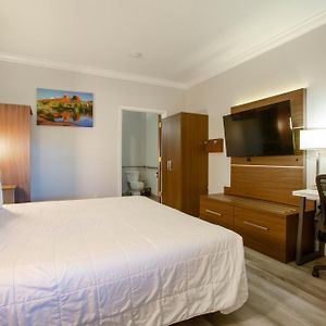 Cozy King Room