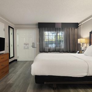 Queen Room Mobility accessible