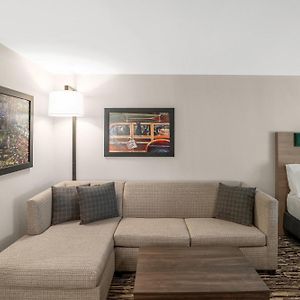 Queen Suite