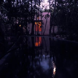Deluxe King Studio