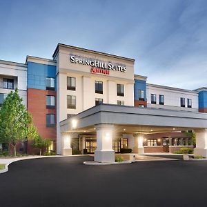 Springhill Suites By Marriott Provo