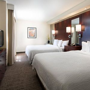 One-Bedroom Queen Suite