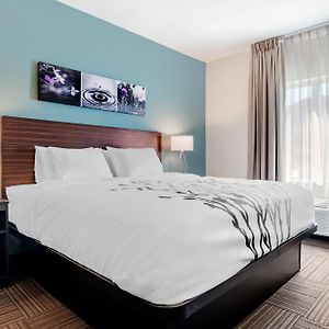 King Suite Mobility accessible