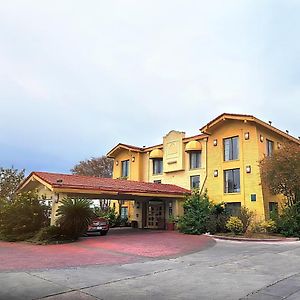 Flex Studios Culebra