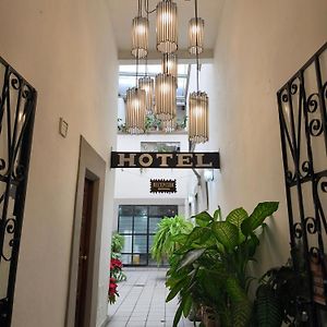 Hotel Casa Morena