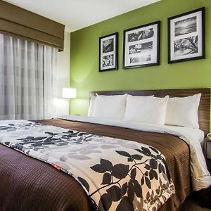 King Room Mobility accessible