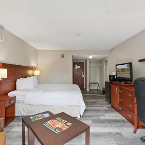Standard Room with 1 Single Bed