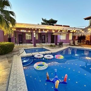 Tropical Paradise