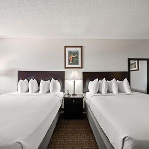 Queen Room Mobility accessible