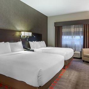 Queen Suite