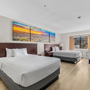 Studio Suite