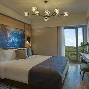 Executive One-Bedroom Apartment
