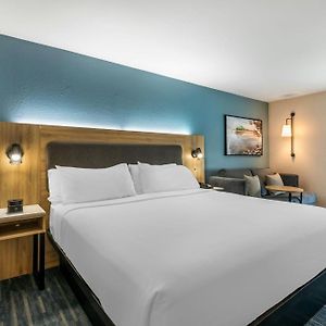 Standard King Room Hearing accessible