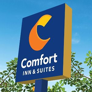 Comfort Inn & Suites Rome South