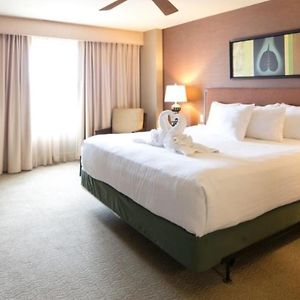 Executive King Suite